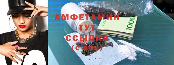 стаф Магас