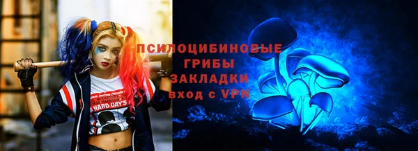 стаф Магас