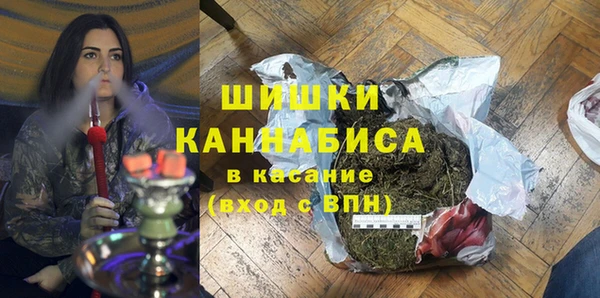 стаф Магас