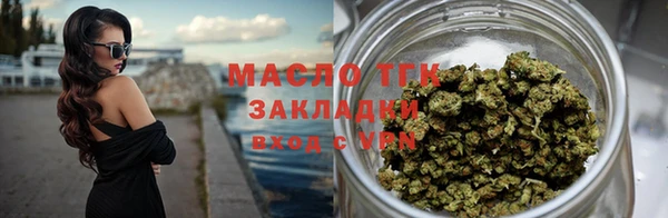 стаф Магас