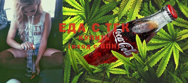 стаф Магас