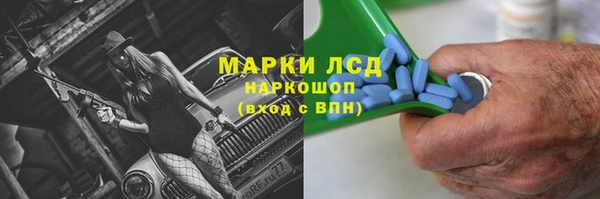 стаф Магас