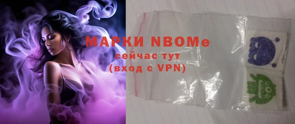 стаф Магас