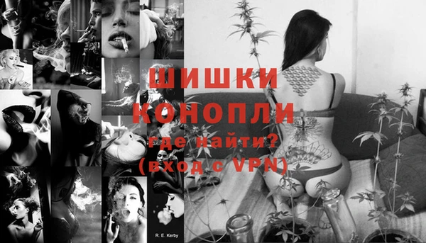 стаф Магас