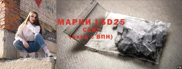 стаф Магас